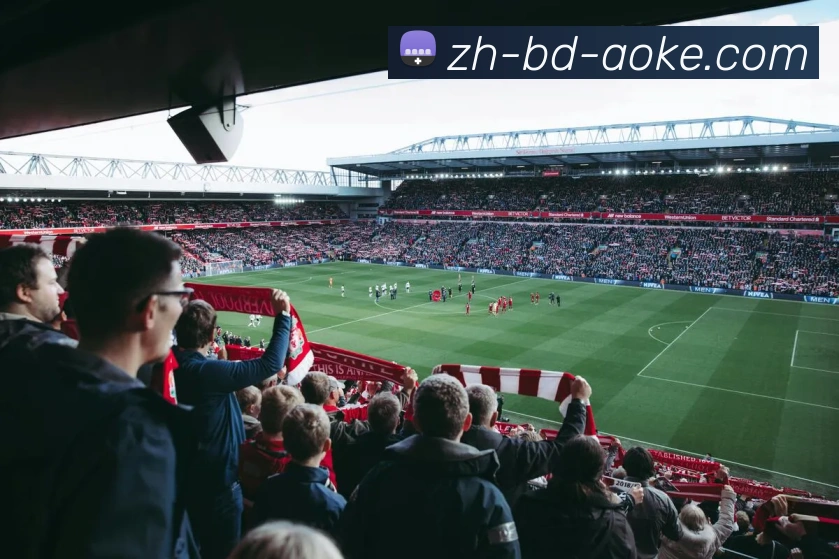 多媒体互动体验